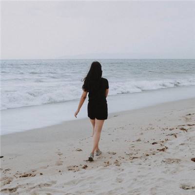 波胆app官网app下载